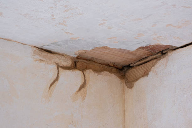 Best Ceiling water damage repair  in Newaygo, MI