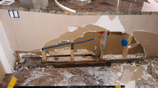 Best Water damage restoration cost  in Newaygo, MI