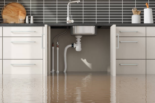 Reliable MI Water damage restoration Solutions