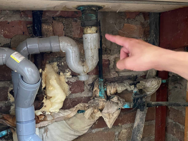 Best Mold removal after water damage  in Newaygo, MI